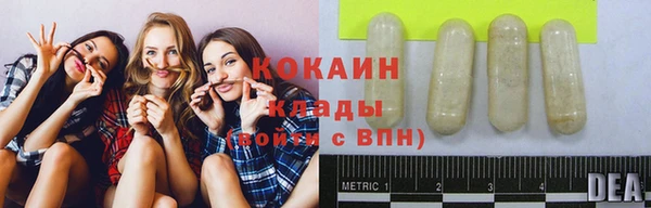 стаф Няндома