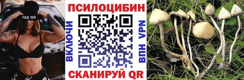 Галлюциногенные грибы Magic Shrooms  Чишмы 